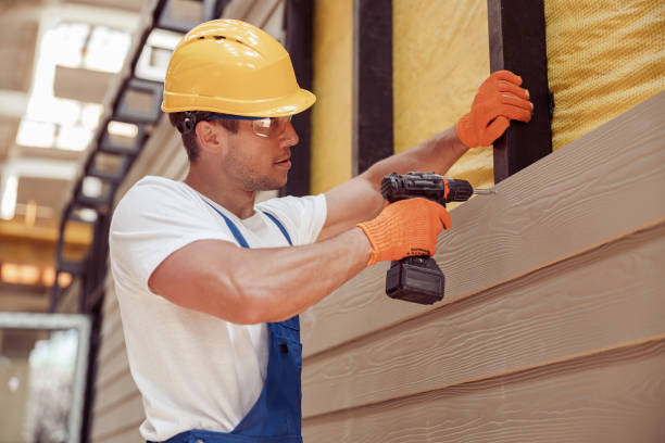 Best Custom Trim and Detailing for Siding  in Osceola, IN